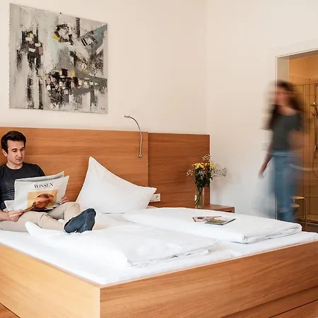 酒店 瓦塔尔酒店 大格迈因