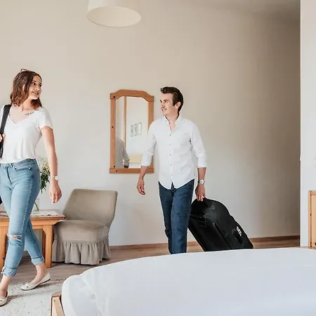 酒店 瓦塔尔酒店 大格迈因