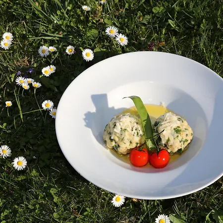 酒店 瓦塔尔酒店 大格迈因