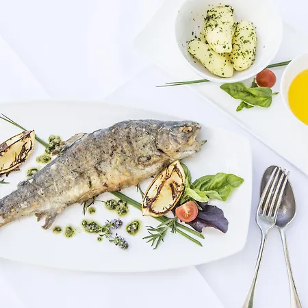 酒店 瓦塔尔酒店 大格迈因